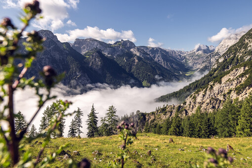 Das Nebelkleid legt sich hier mystisch über die Karwendeltäler des Naturparks.